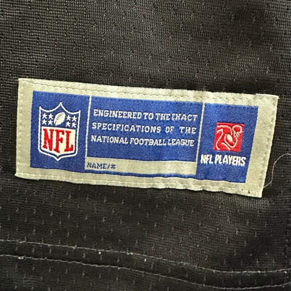 Carolina Panthers NFL Pro Line Cam Newton #1 Youth Jersey Size Large Football - Picture 10 of 10